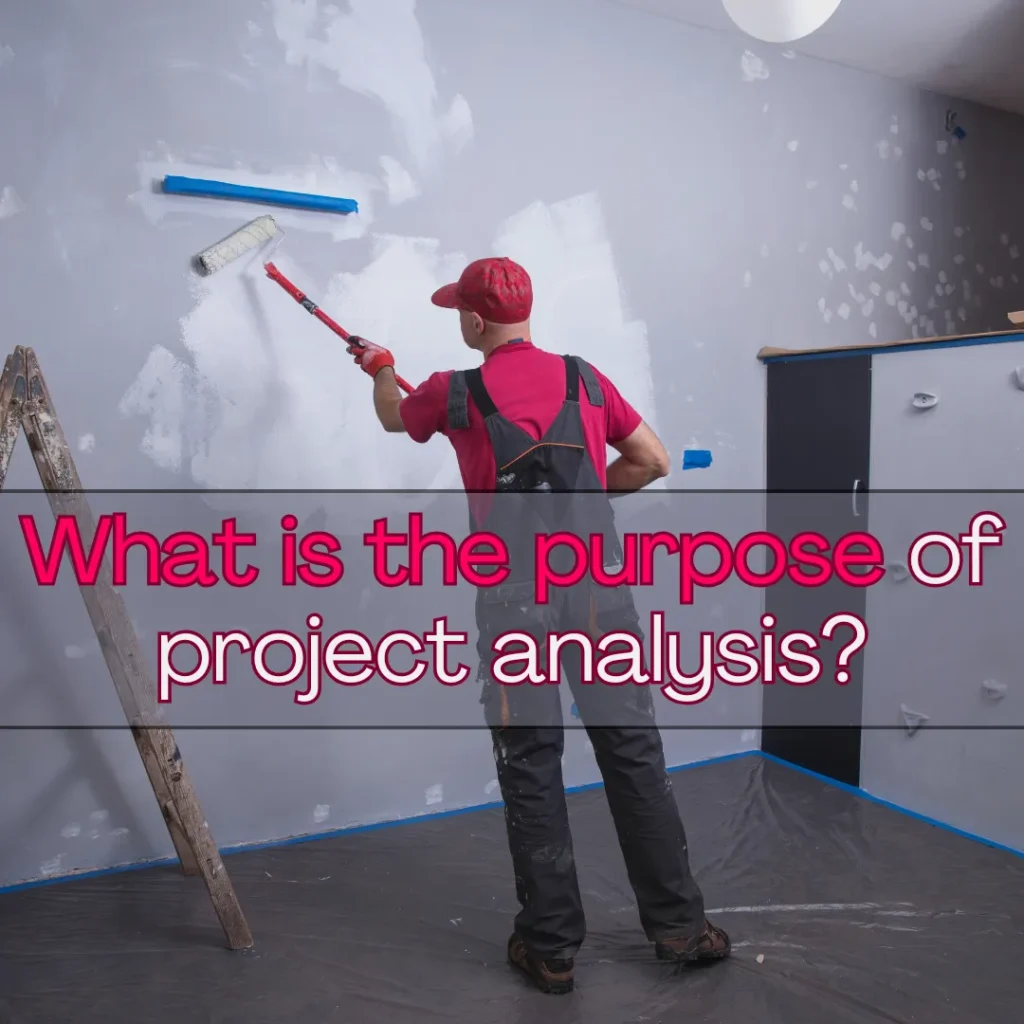 What is the purpose of Project Analysis?